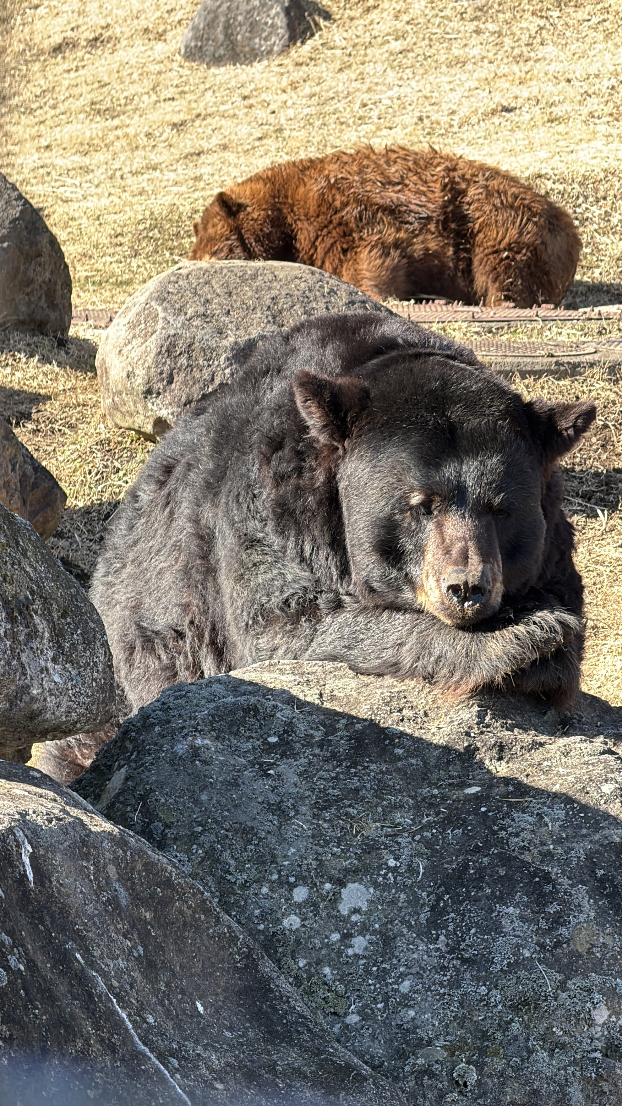 Travel photo IMG_0381.JPG