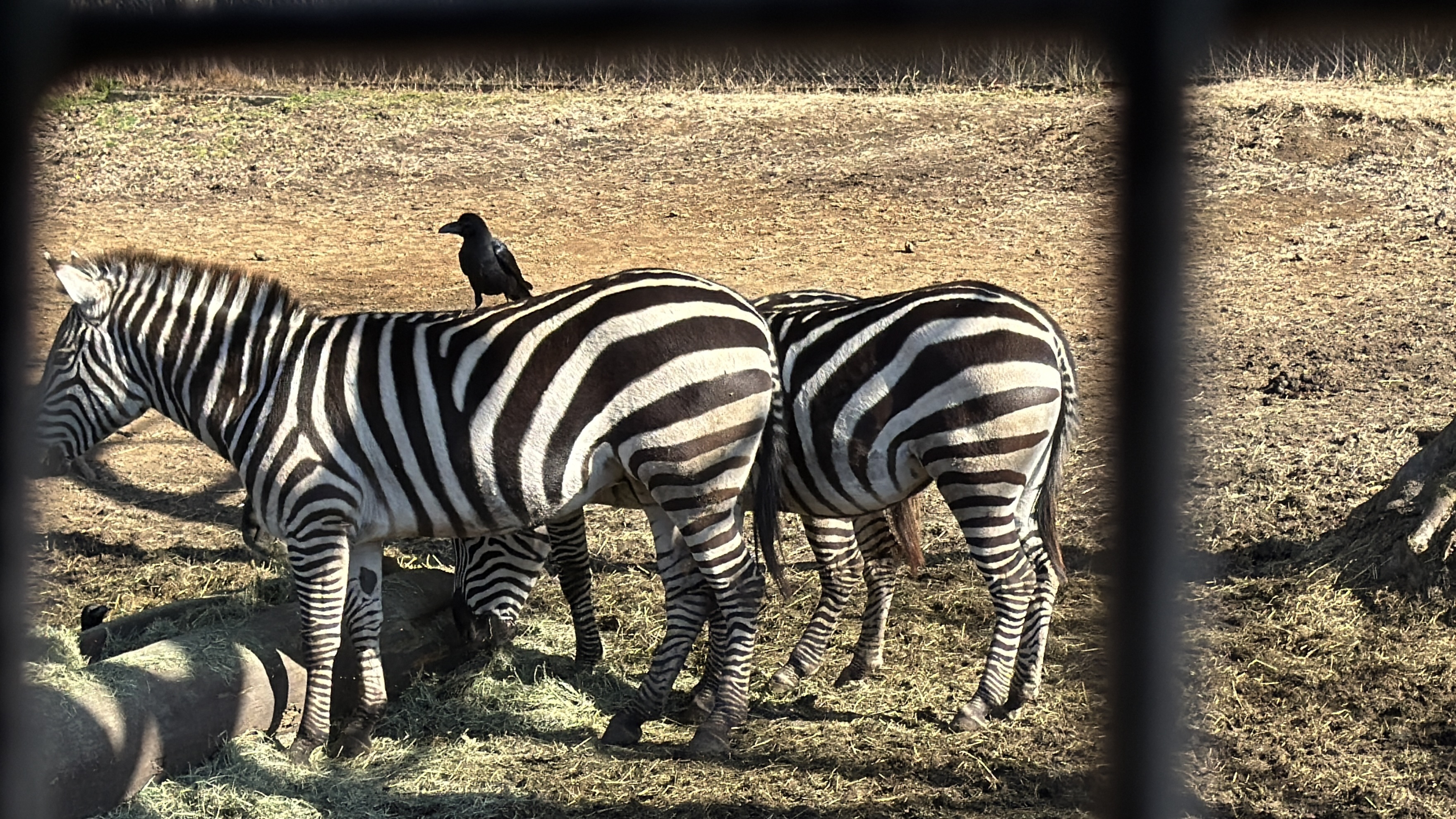 Travel photo IMG_0435.JPG