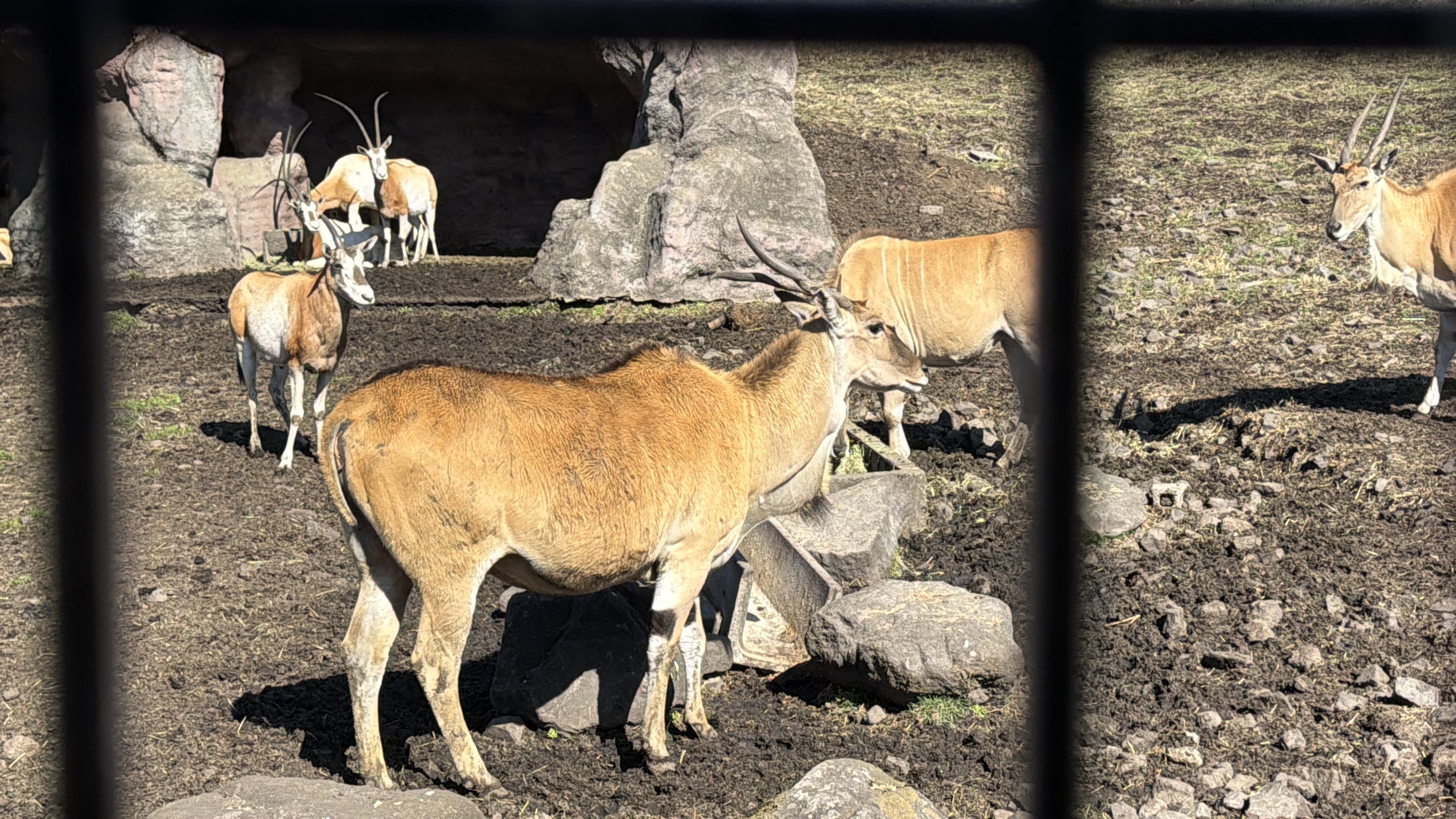 Travel photo IMG_0448.JPG